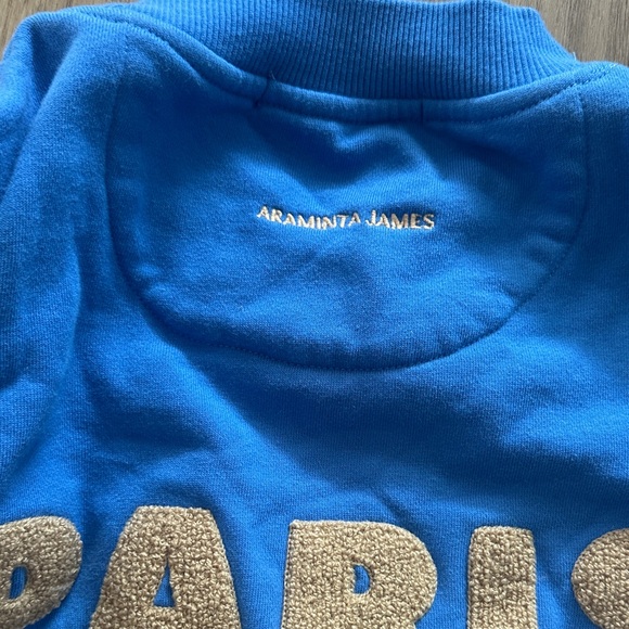 Electric Blue Crewneck Sweatshirt with White Sleeve Stripes - Picture 11 of 11